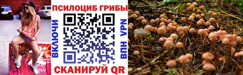 Псилоцибиновые грибы Cubensis  гидра ссылка  Зуевка 